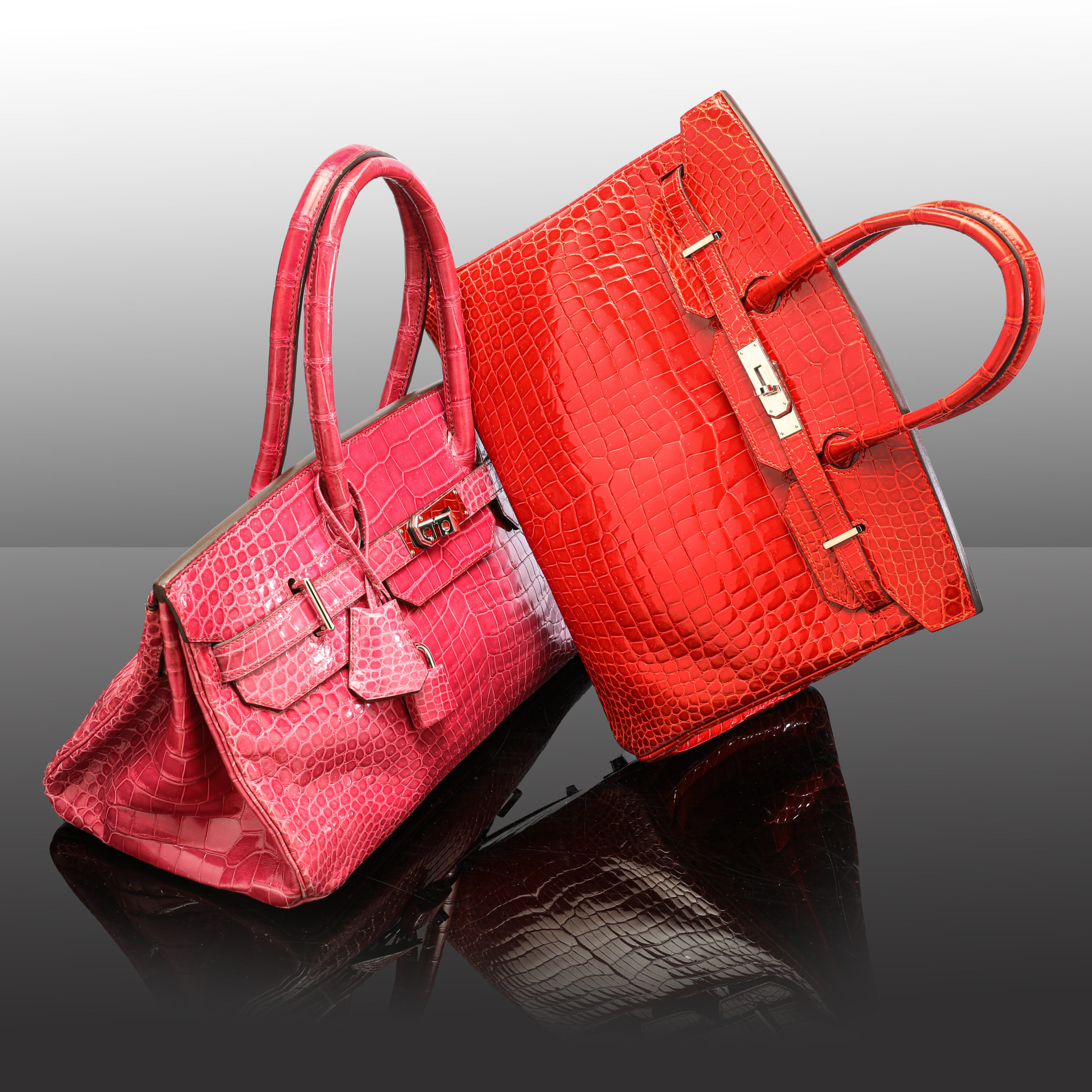 Jane Birkin and her Birkin Fellows Blog