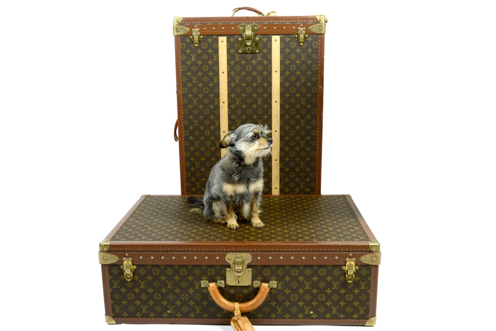 louis vuitton trunk